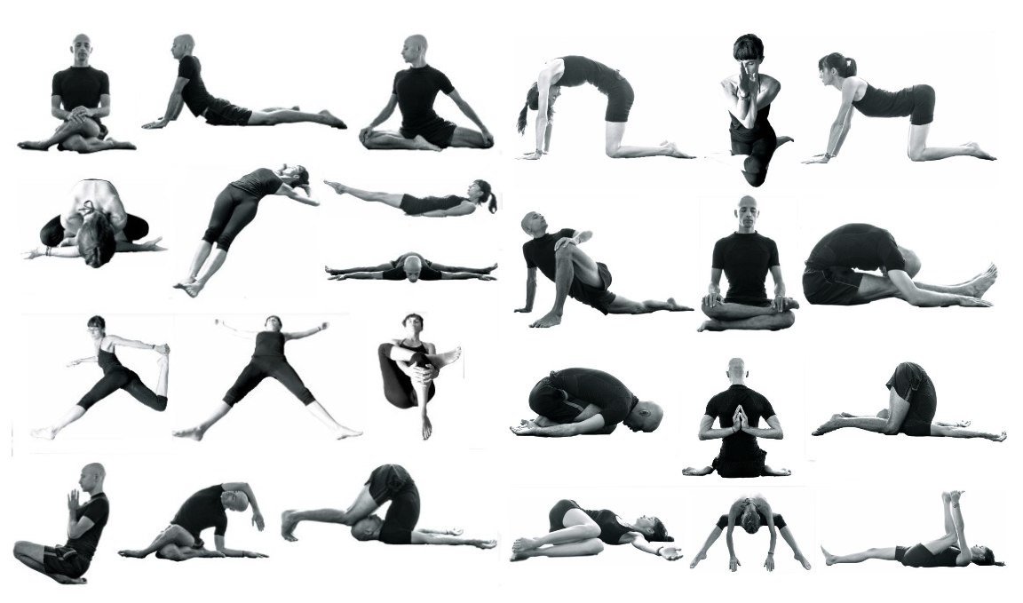 Les 7 Postures Prinles Du Yin Yoga