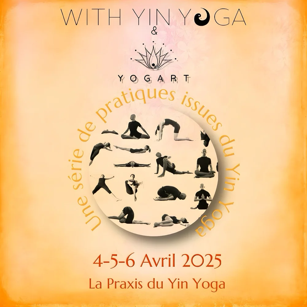 Yin Yoga Immersion - La praxis du Yin Yoga - Yogart - Rouen - France ...