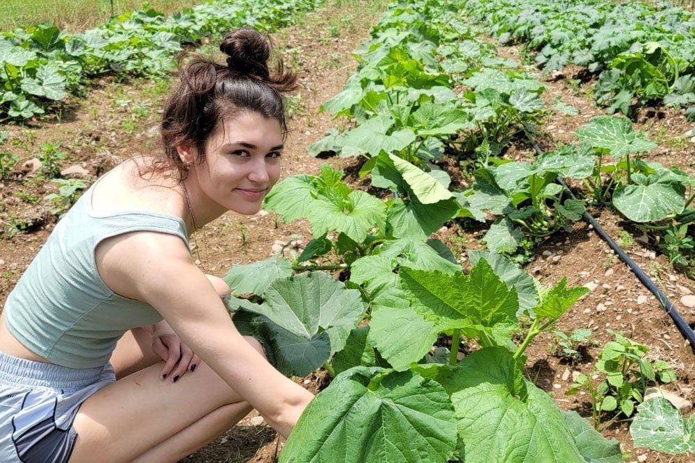 Violet in the field.jpg