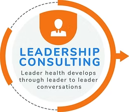 B-LeadershipConsulting_graphic_frontpage.png