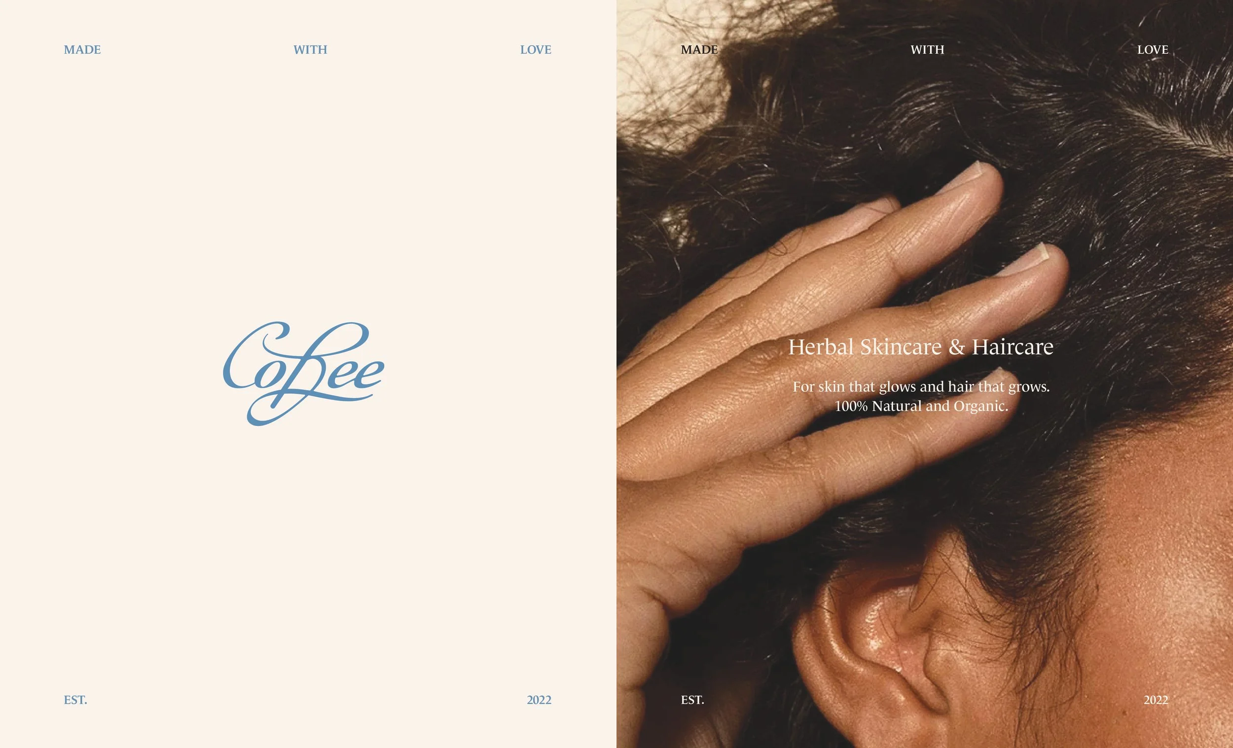 Cobee Deck Revised2.jpg