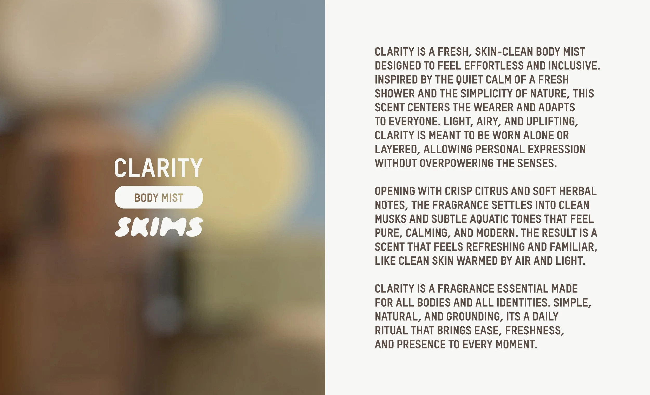 Skims Portfolio Deck More.jpg