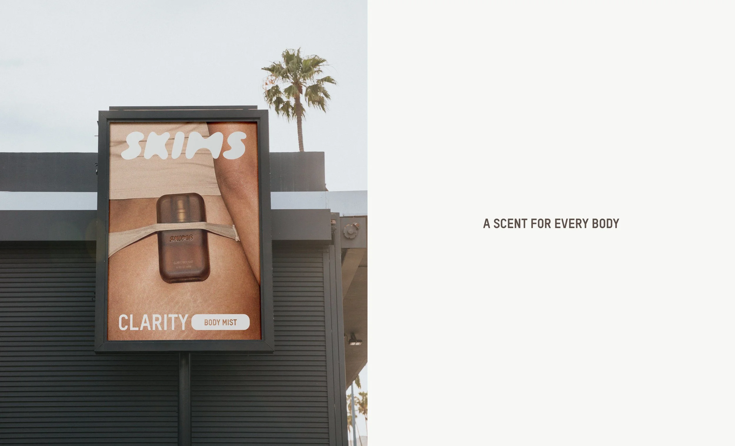 Skims Portfolio Deck More6.jpg