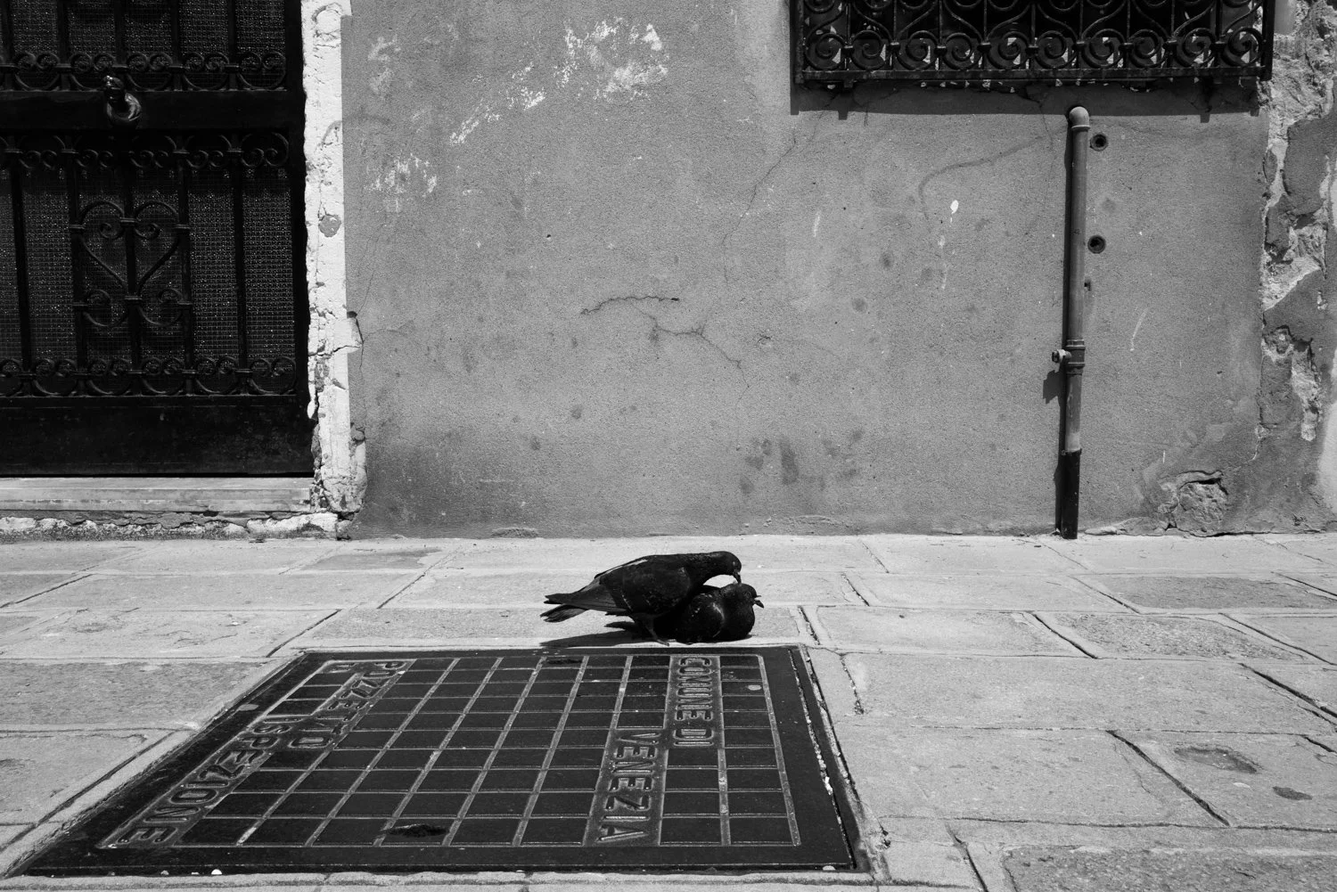 Soul Venice-5.jpg