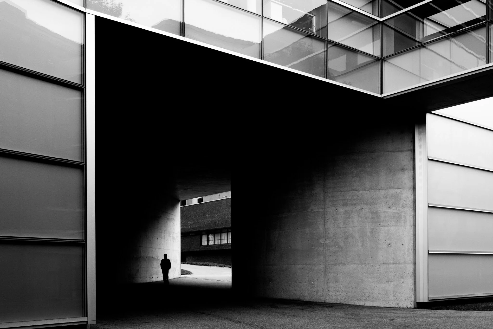 L107042812019- Guido ArgentaWEB.jpg