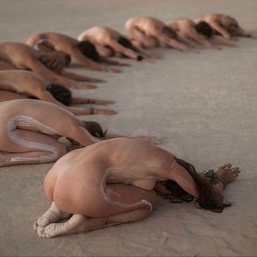 Bow Down

This is how God becomes dust.
Touch your forehead to the earth,
bow down to the light in your body.

When the light within lifts up your head
crying, &quot;Do not worship me, for I am you,&quot;
bow down, bow down.

All around you, dripping