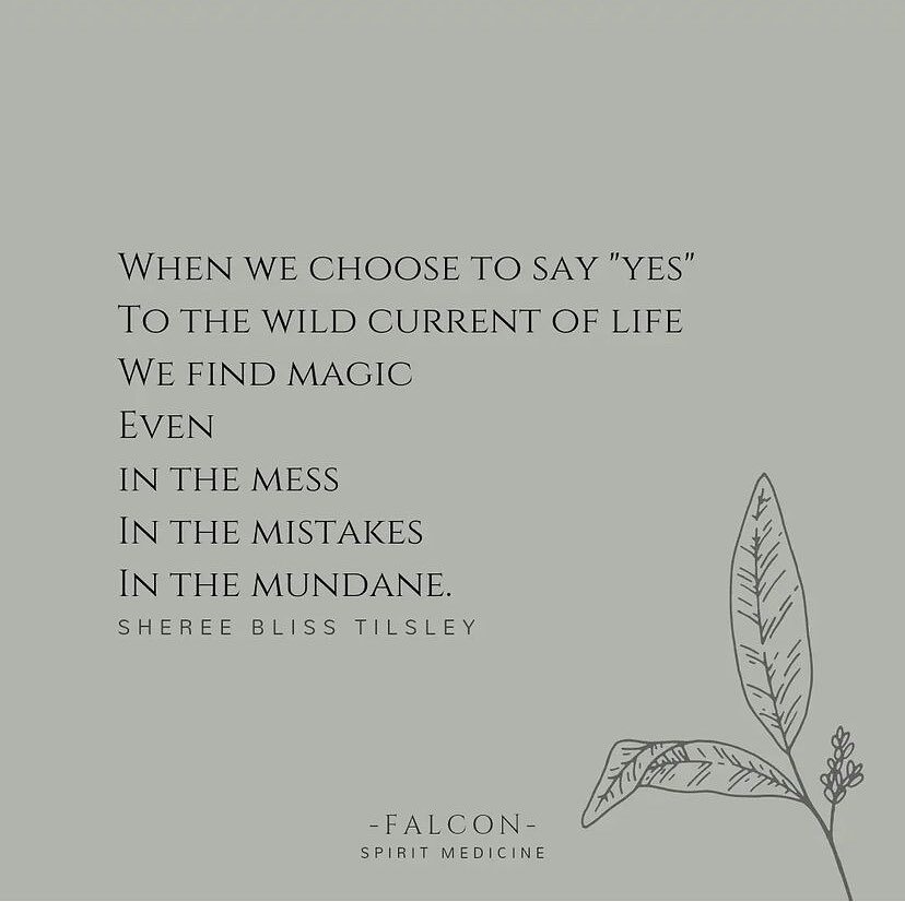 What do you want to say &lsquo;YES&rsquo; to but haven&rsquo;t?

Return to the wild whisper, surrender to the nudge &hearts;️

#wildwhispers #intuition #higherconsciousness #soulwisdom #paradigmshift #transformation #spiritualguidance #spiritualpath 