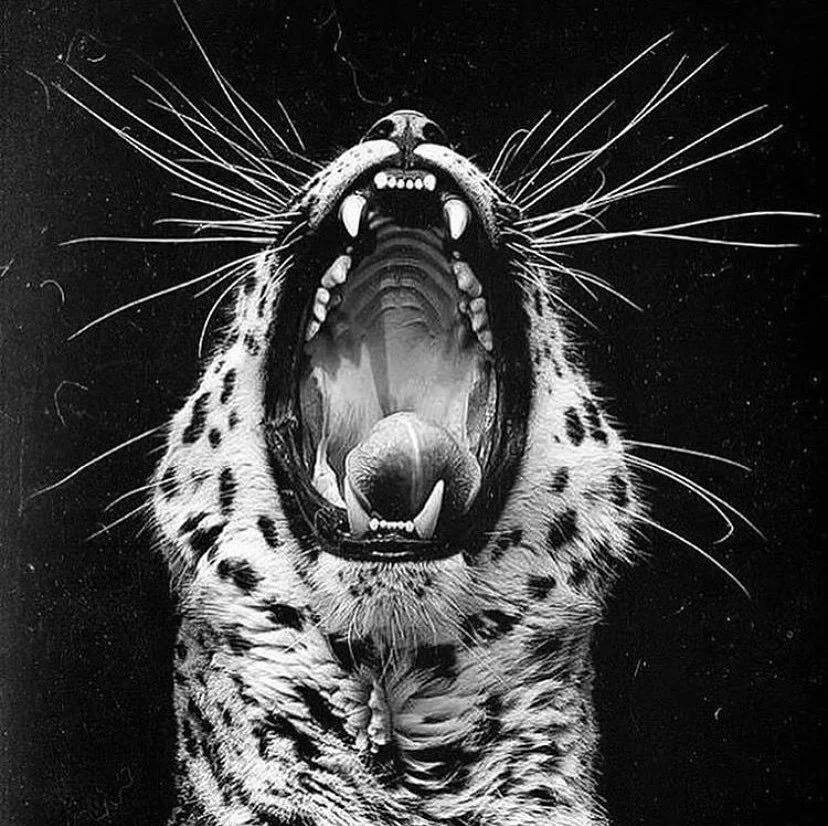 Habitual Anger

Sometimes when we feel anger, it is coming from a deep place that demands acknowledgment and expression. At these times, it is important that we find healthy ways to honor our anger, remembering how dangerous it is to repress it. Howe