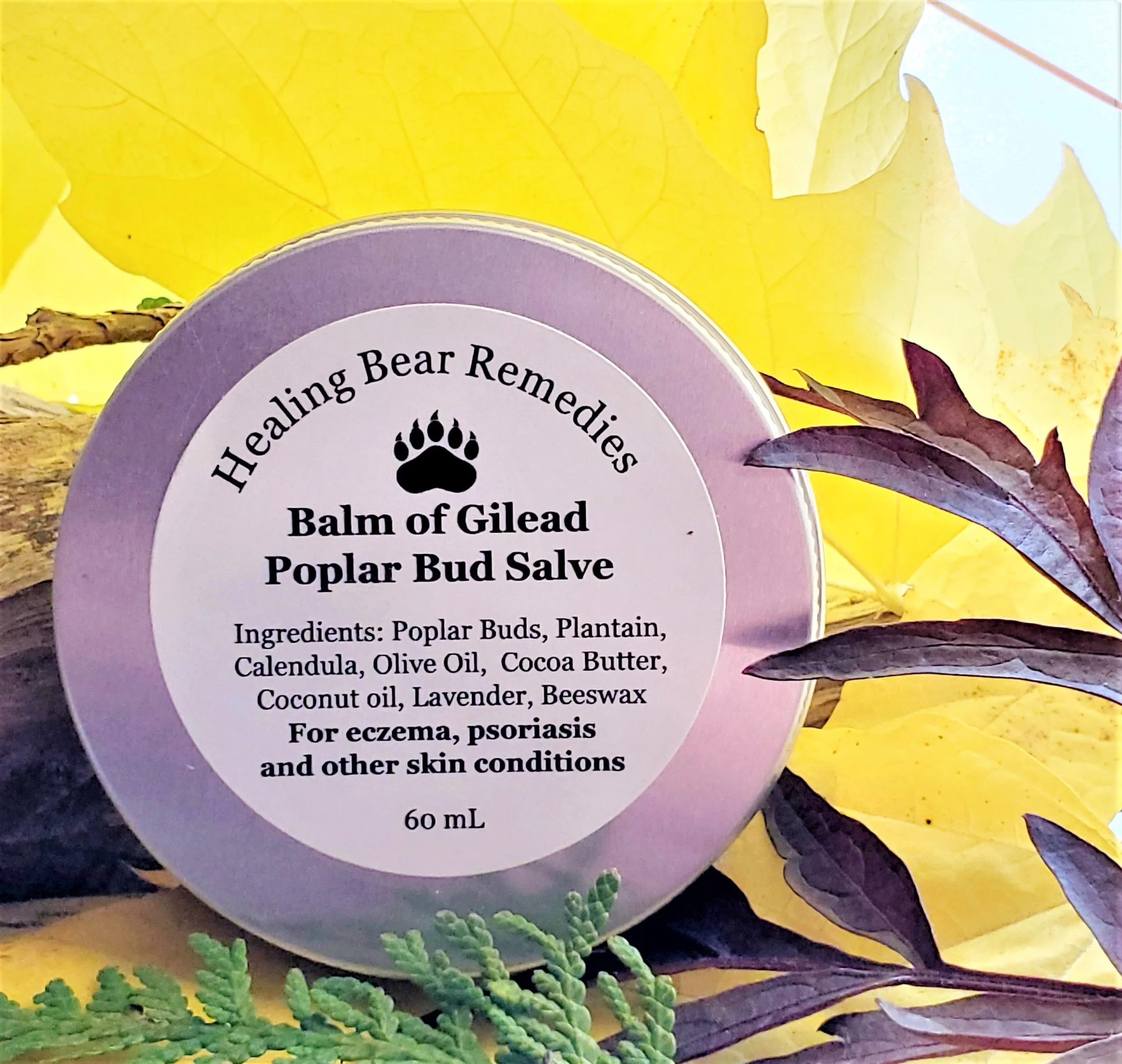 Poplar Bud Salve (Balm of Gilead) — Remedies