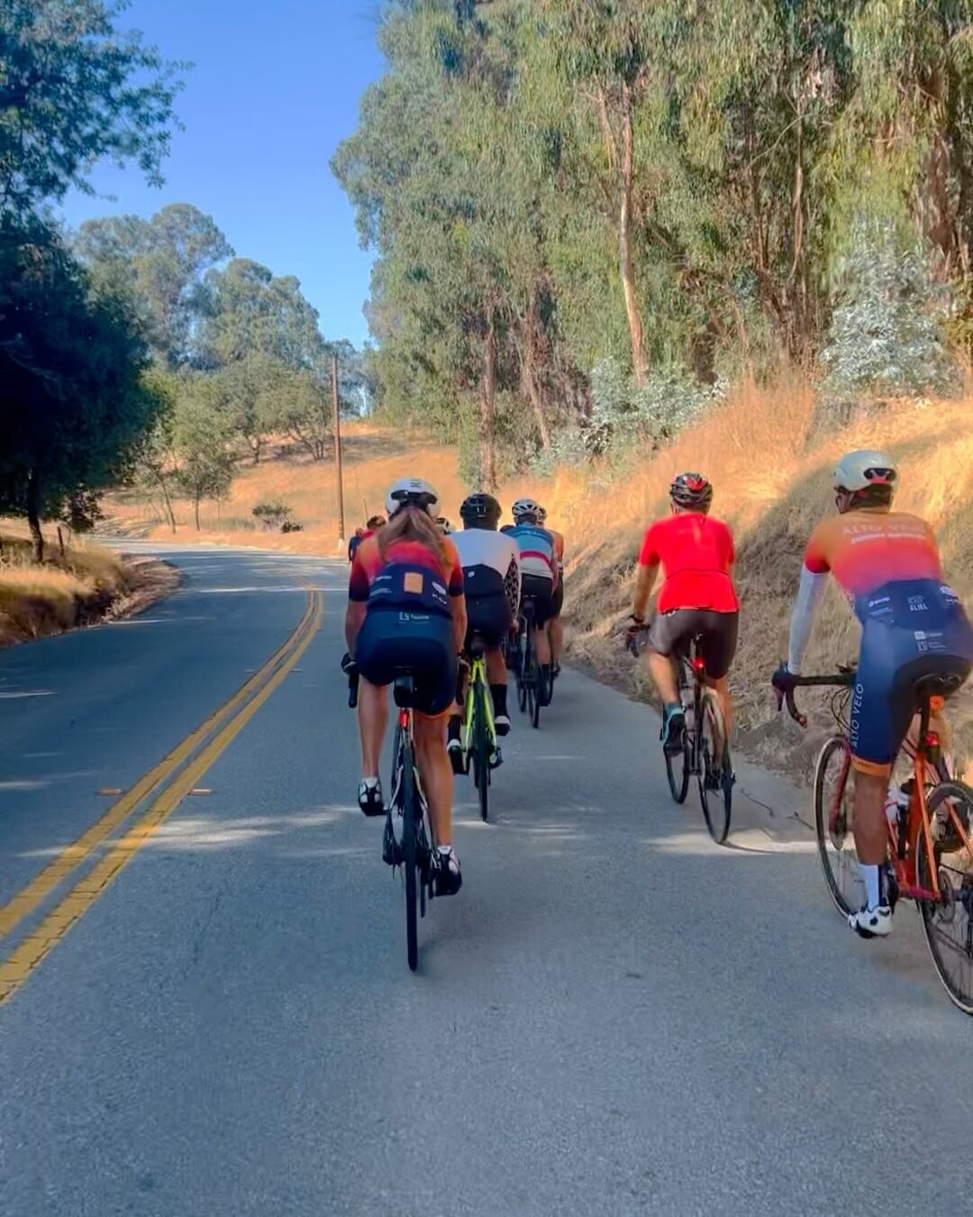 The weekend is coming, and that means it's time for the AV rides! 
🌊 B-ride: Pescadero loop led by Marco
🏞️ C-ride: Altamont, Alpine, Huddart led by Jeff

📍9 am @summitbicycles, Palo Alto (AV sponsor bike shop)