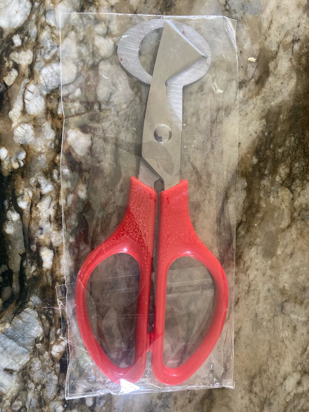 Quail egg scissors — Bryant's Roost