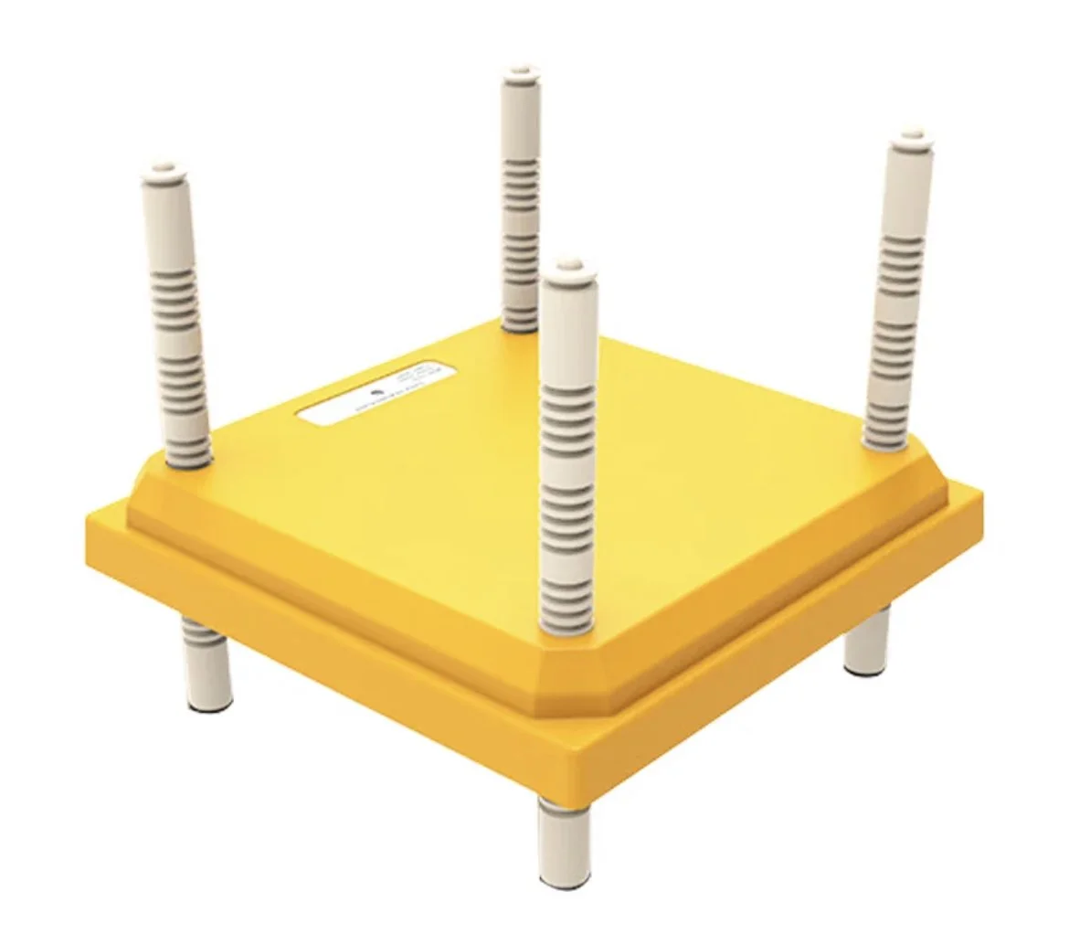 Jumbo Egyptian Coturnix Quail Hatching Eggs ready for your incubator to