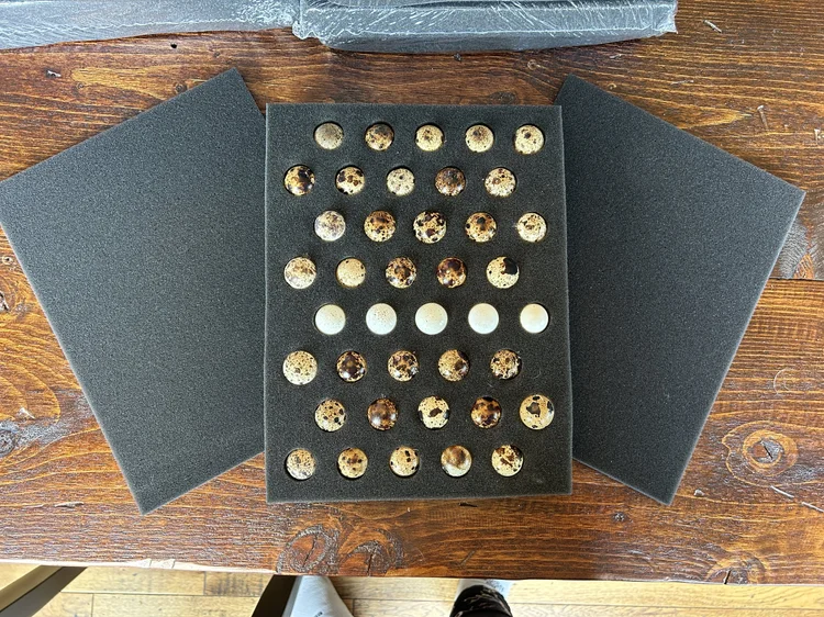 Image showcasing Frozen Quail feeders for pets and reptiles. — Bryant's Roost