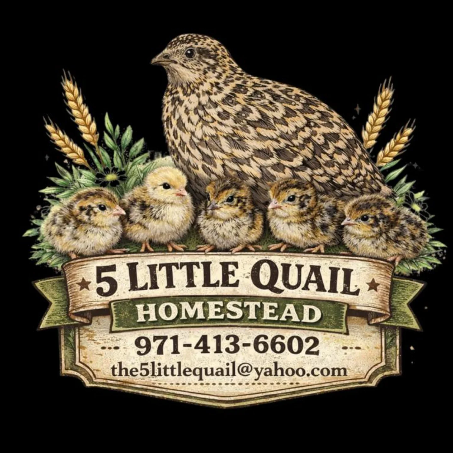 The 5 Little Quail Homestead