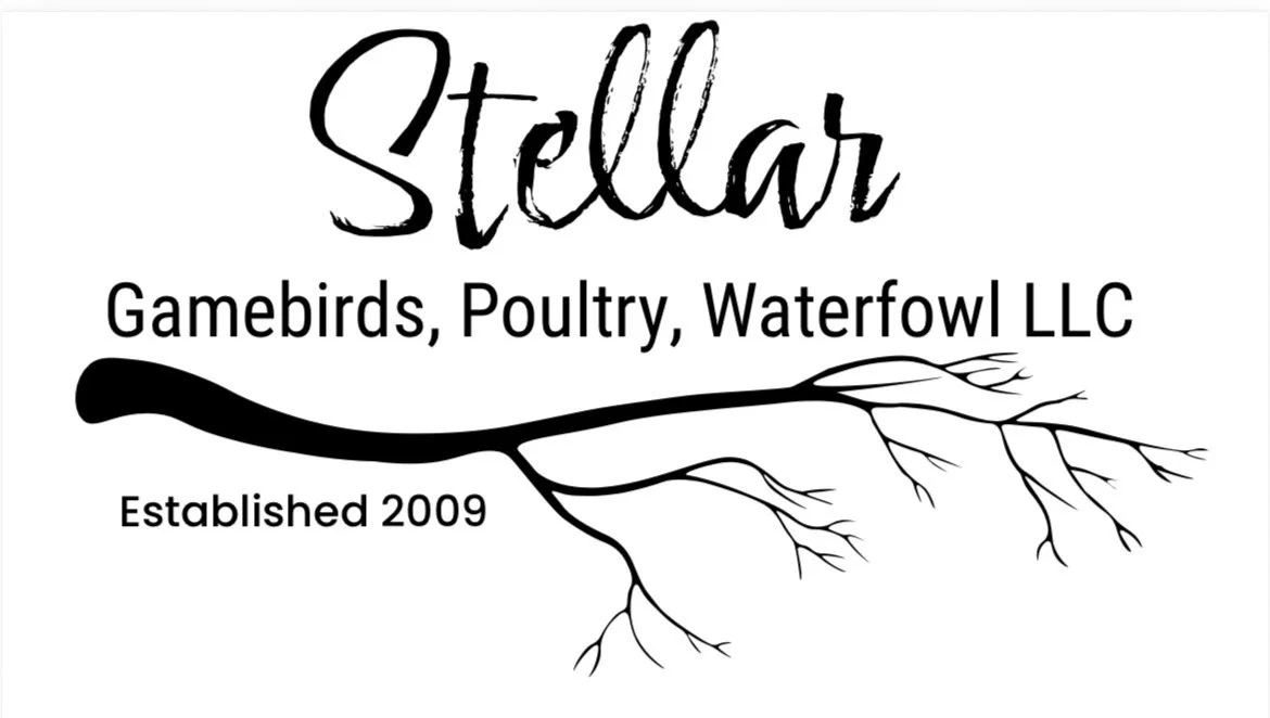 Stellar Game Birds, Poultry, Waterfowl LLC