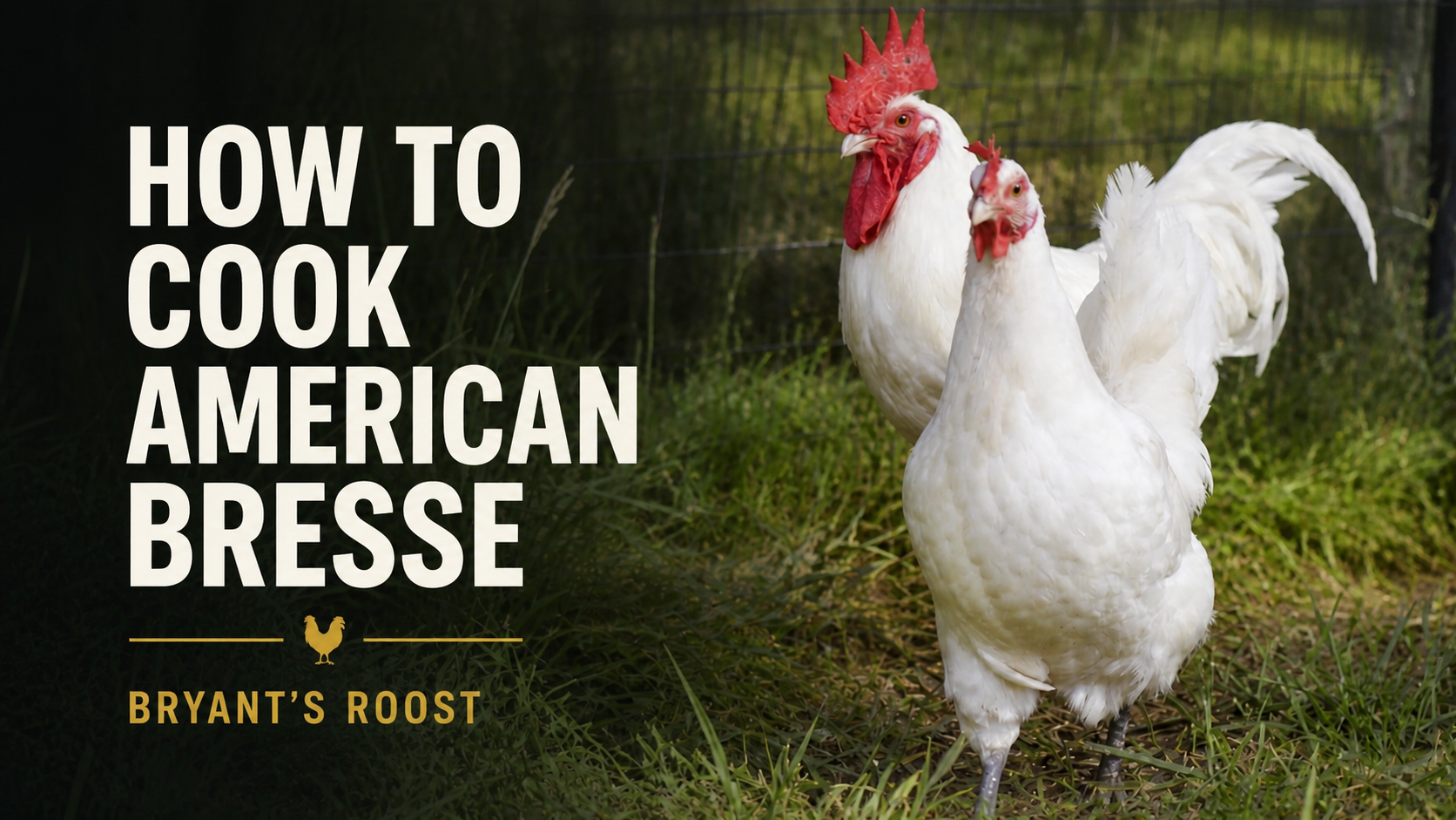 How to Cook American Bresse Chicken for the Best Flavor and Texture