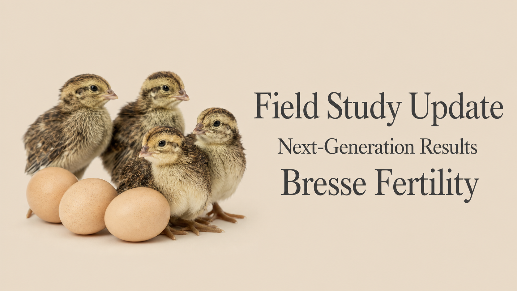 Fermex Field Study Update: First Next-Generation Results and Bresse Fertility