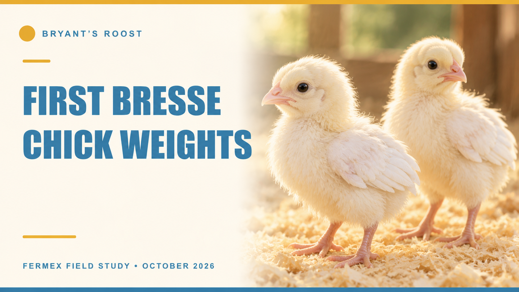 Fermex Field Study Update: First Bresse Offspring Weights