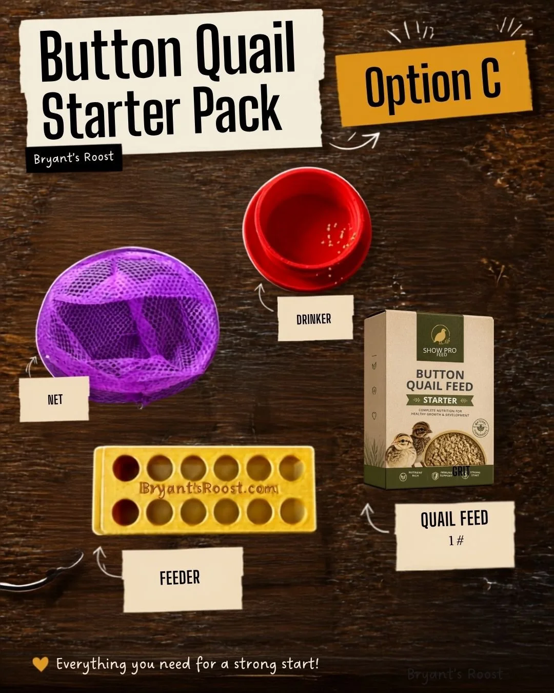 Essentials Button Quail Starter Kit