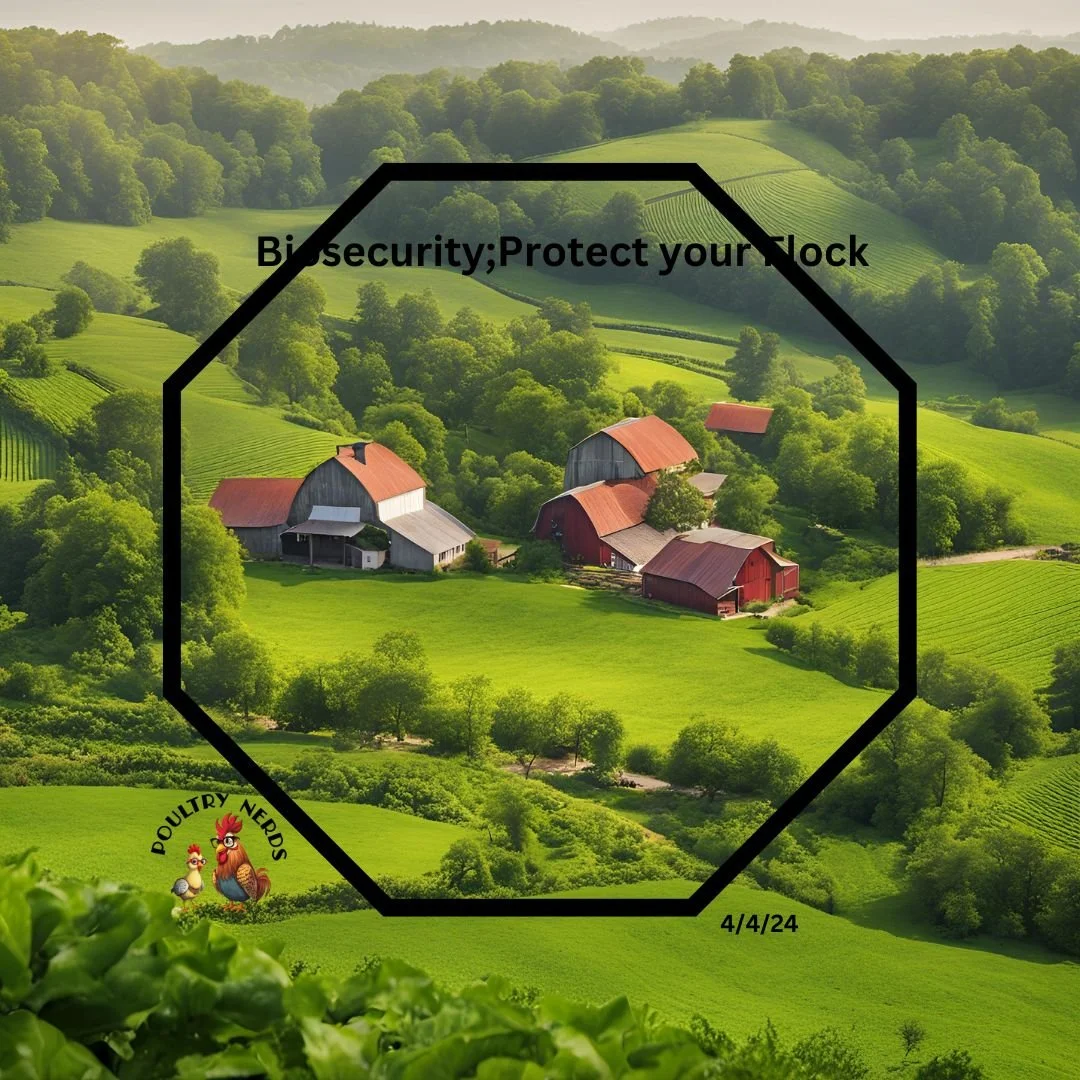 BioSecurity;Protect Your Flock