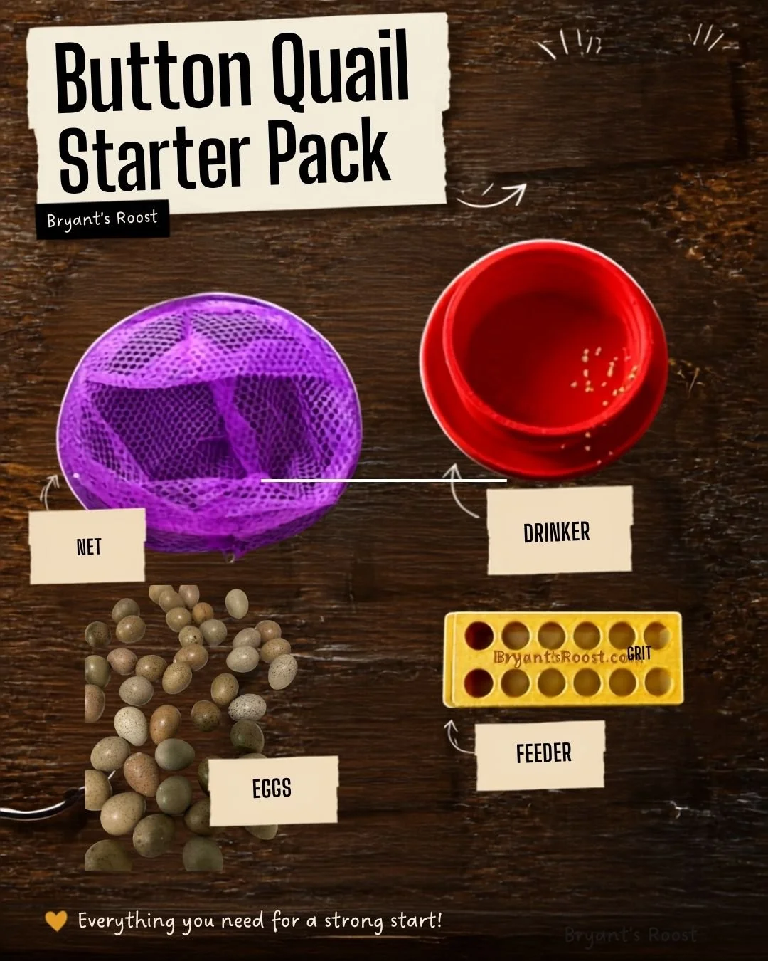 Starter Pack for Button Quail