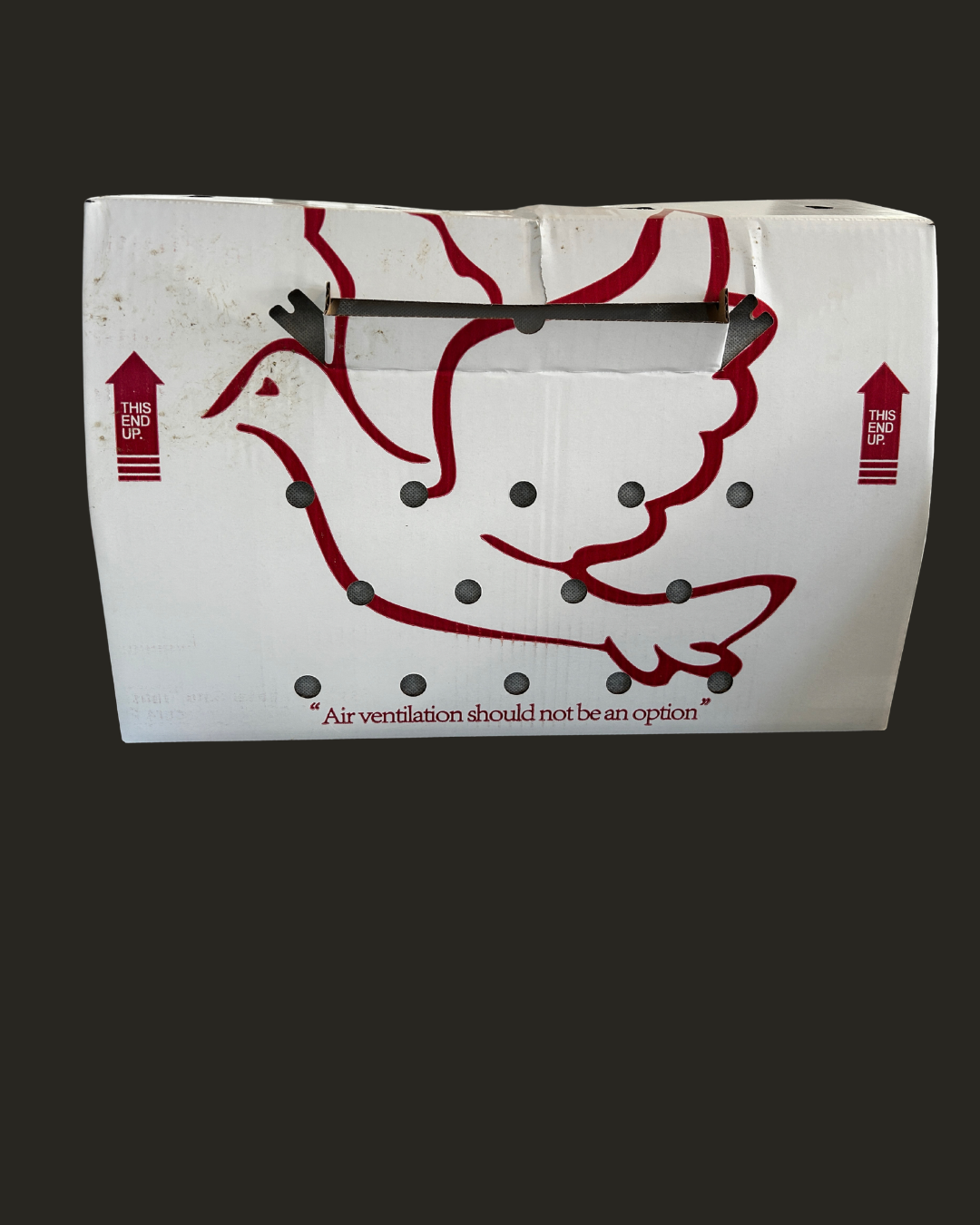 Untitled design-20.png (Copy)