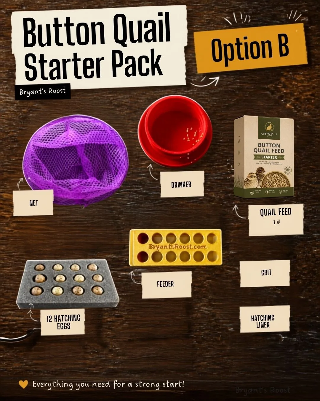 Option B Button Starter Pack.jpg