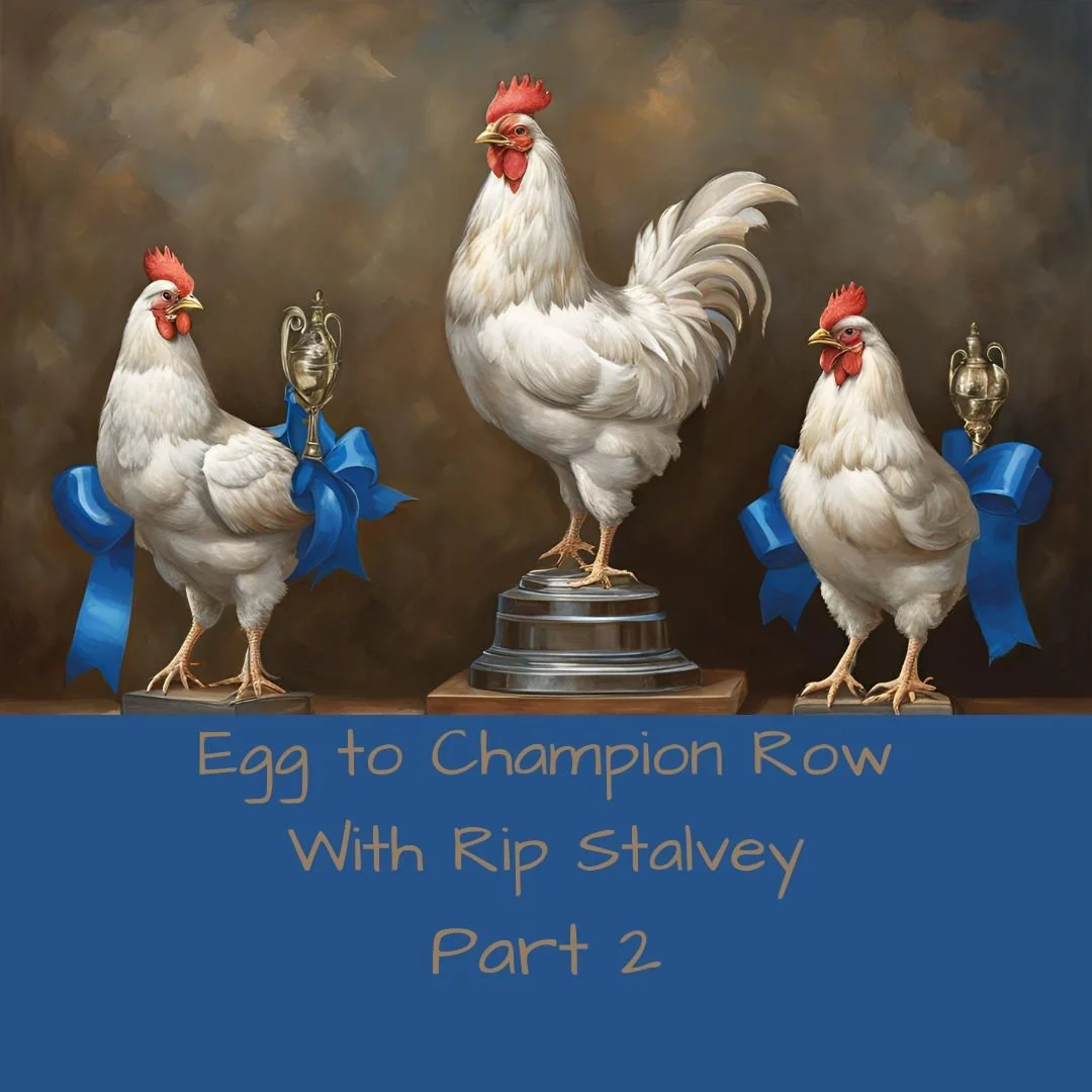 Champion Row with Rip, Part 2