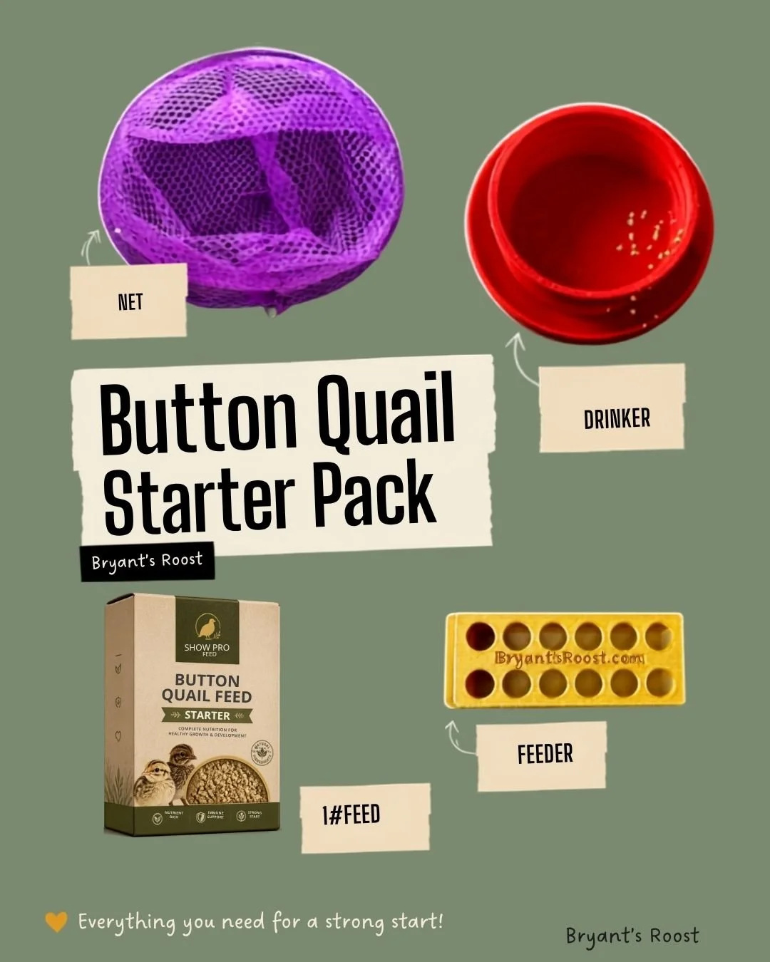 Essentials Button Quail Starter Kit
