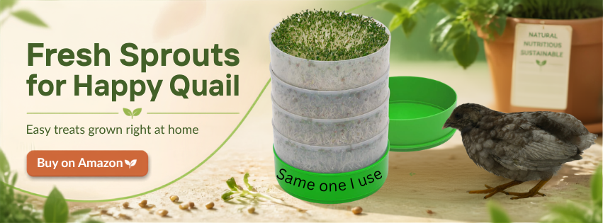 Sprouts are easy and this container allows for fresh sprouts everyday, it's the one I use