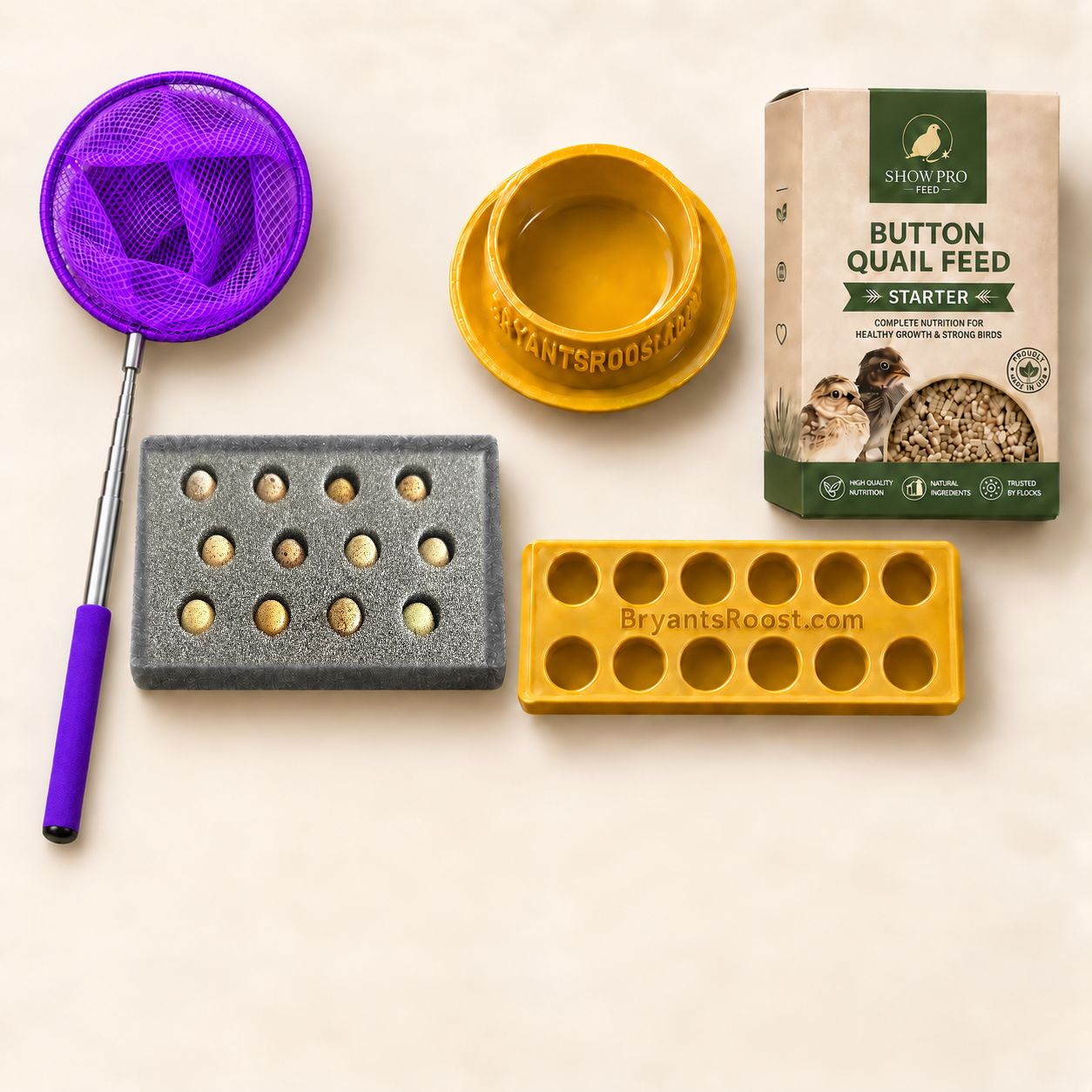 Complete Button Quail Starter Pack
