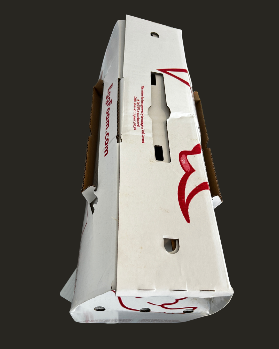 Untitled design-21.png (Copy)