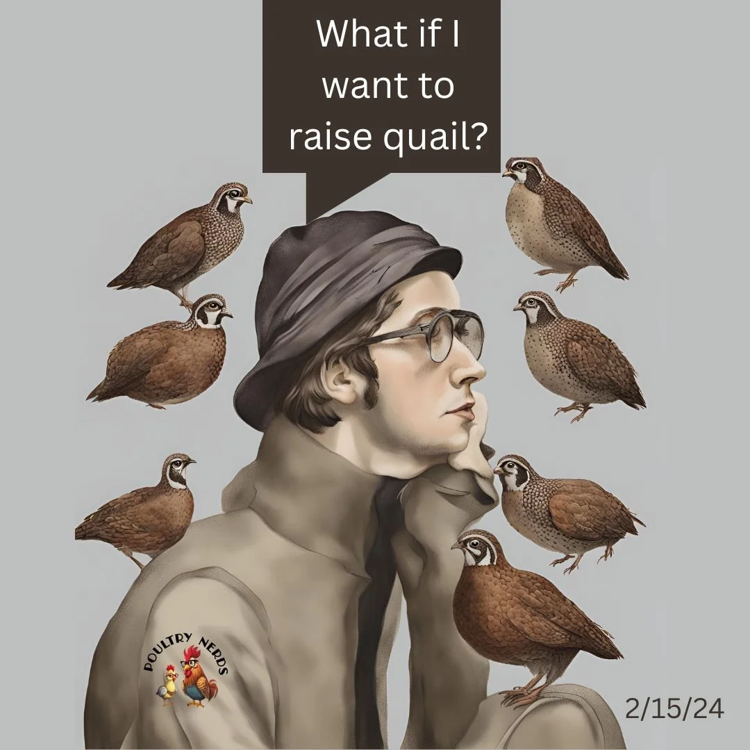 What if I want to raise Quail?