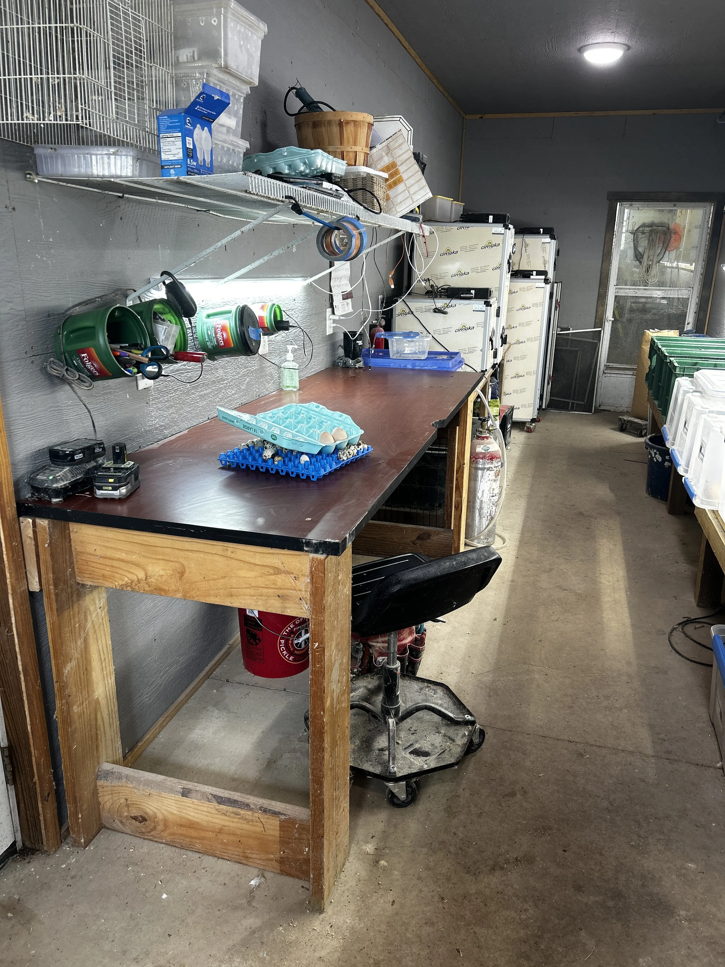 A  workbench at Bryant's Roost with lab equipment, egg carton, fire extinguisher, and various supplies, with incubator cabinets in the background.