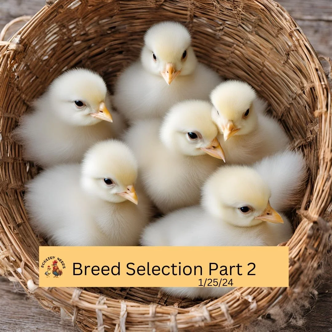 Breed Selection Part 2