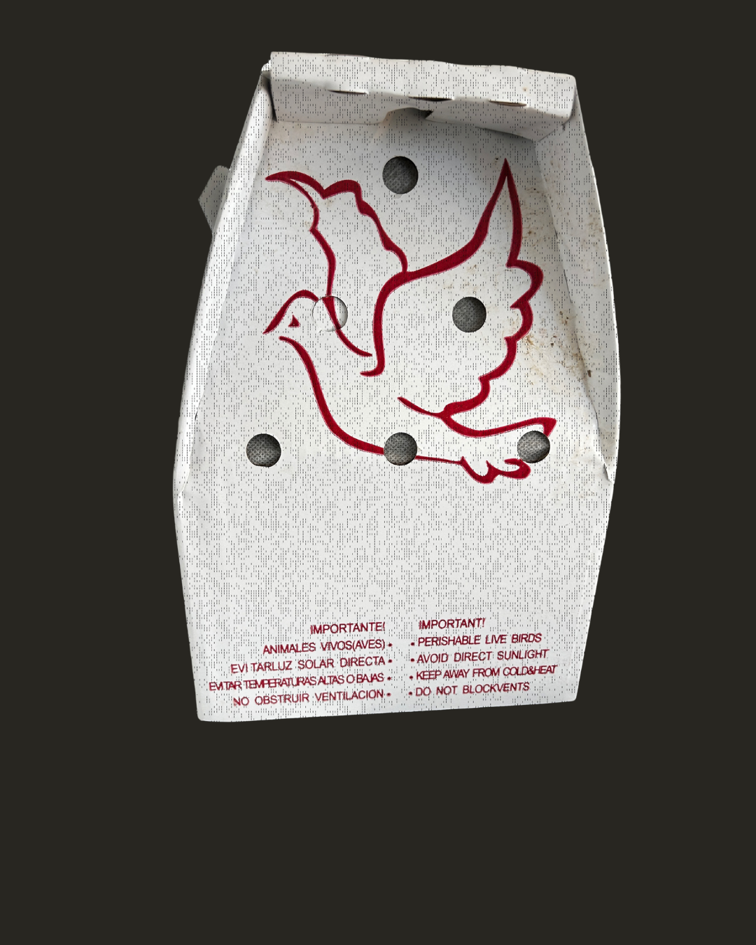 Untitled design-22.png (Copy)