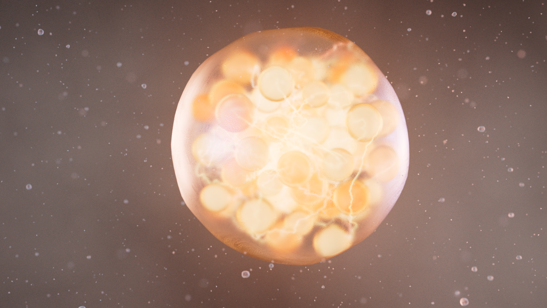 nhc_panasonic_waterdroplet_lookdev_LC_003_.png