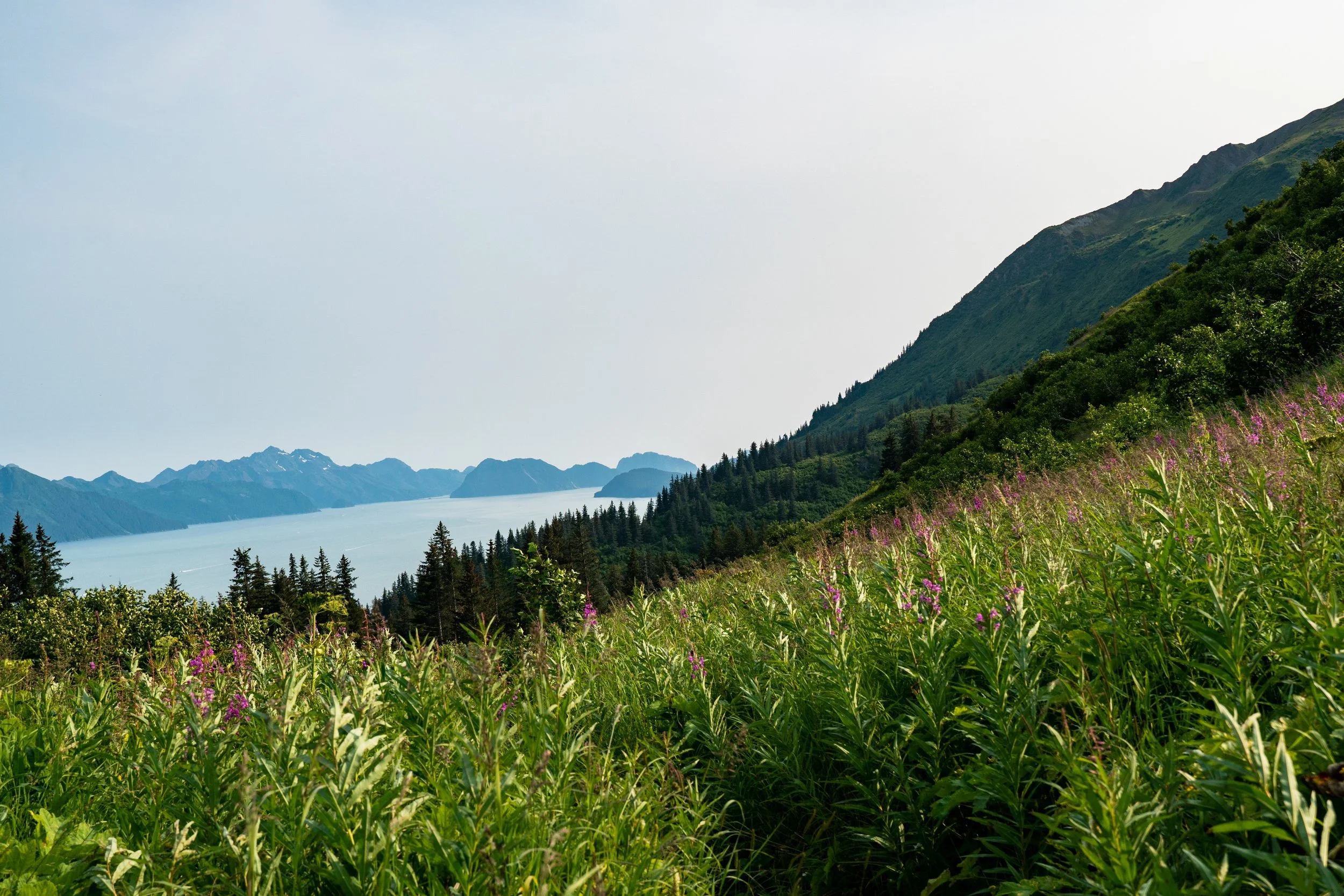Alaska-22_Journal-00357.jpg