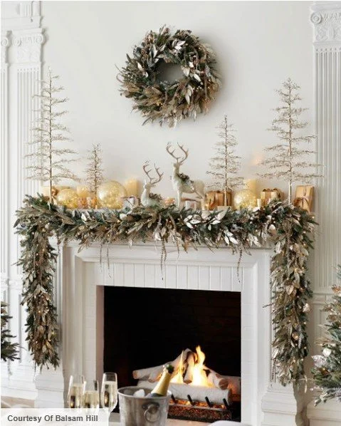 December 2025 Newsletter