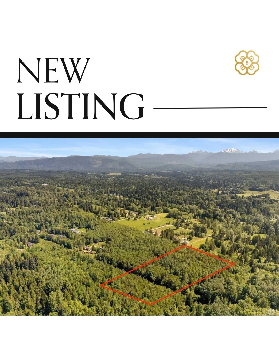 🚨 LAND INVESTOR ALERT: Instant $100k Equity? 🚨
Imagine walking into $100,000 of built-in equity on day one. 🌲💼
This 20-acre forested paradise appraised at $300,000&mdash;but you can grab it right now for just $199,950.
Why the massive discount? T