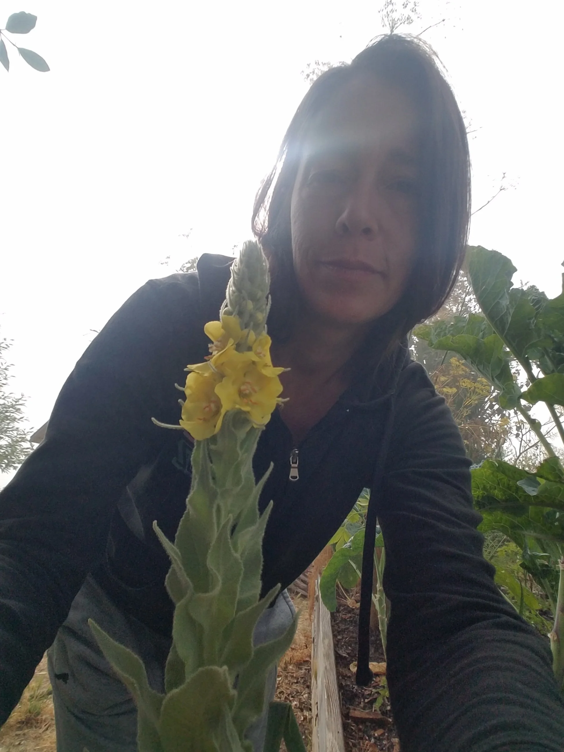 me n mullein.jpg
