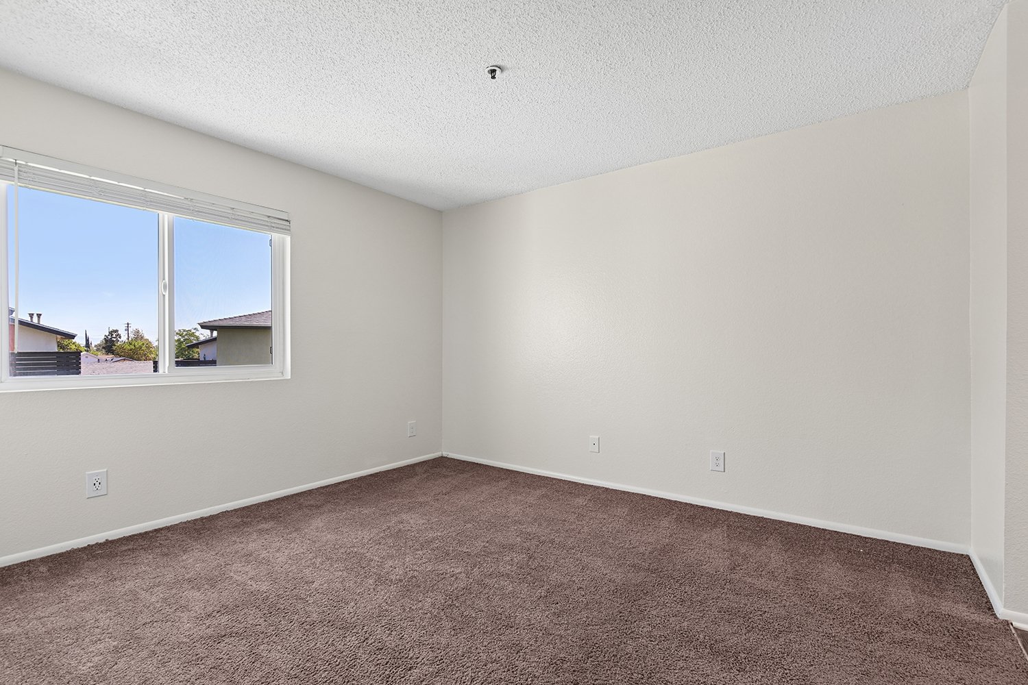 Oversized primary bedroom in Citrus Heights 3-Bedroom apartment home with plush carpeted flooring and large windows allowing for gorgeous natural lighting. 