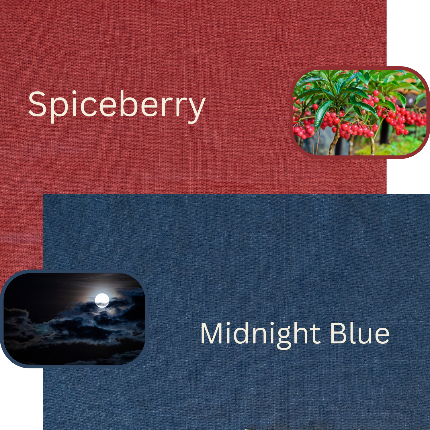 Spiceberry.png