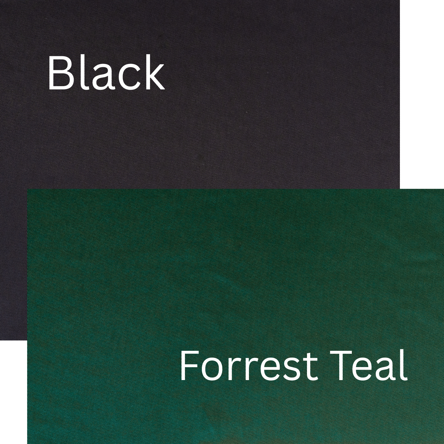 Spiceberry (2).png