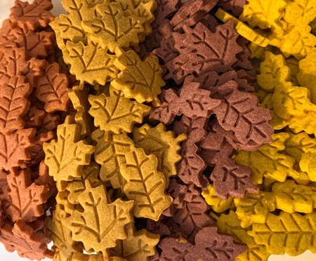 rows of red, brown, purple, and yellow leaf shaped cookies
