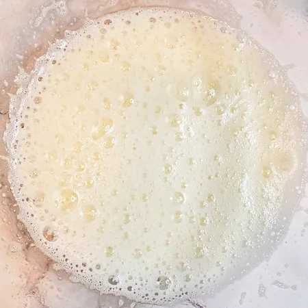 Frothy Stage The Science of Whipping Egg Whites — Laura's Bake Lab