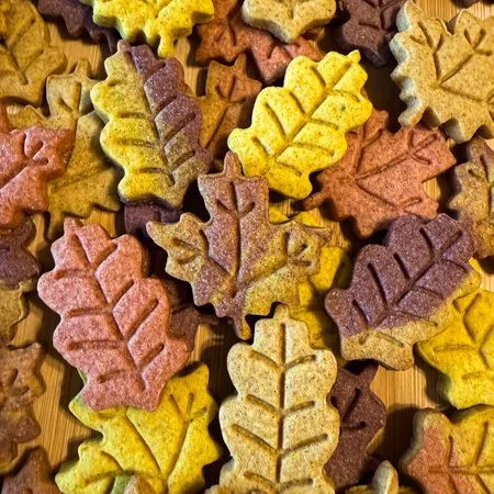 a pile of leaf shaped sugar cookies in various fall colors
