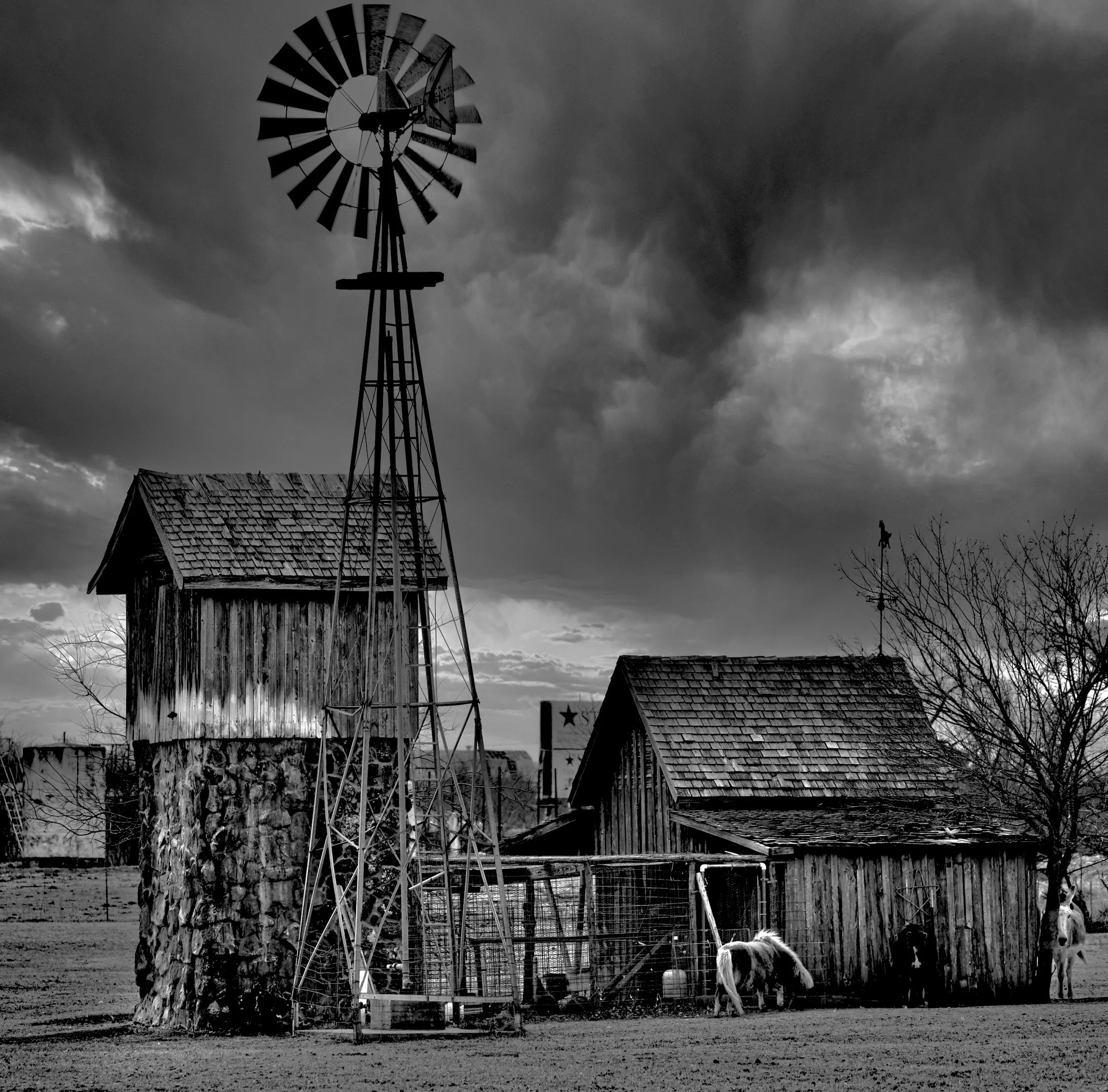 " Storm Over the Homestead "  Texas Windmill and weathered barns beneath dramatic storm clouds near Weatherford, Texas.