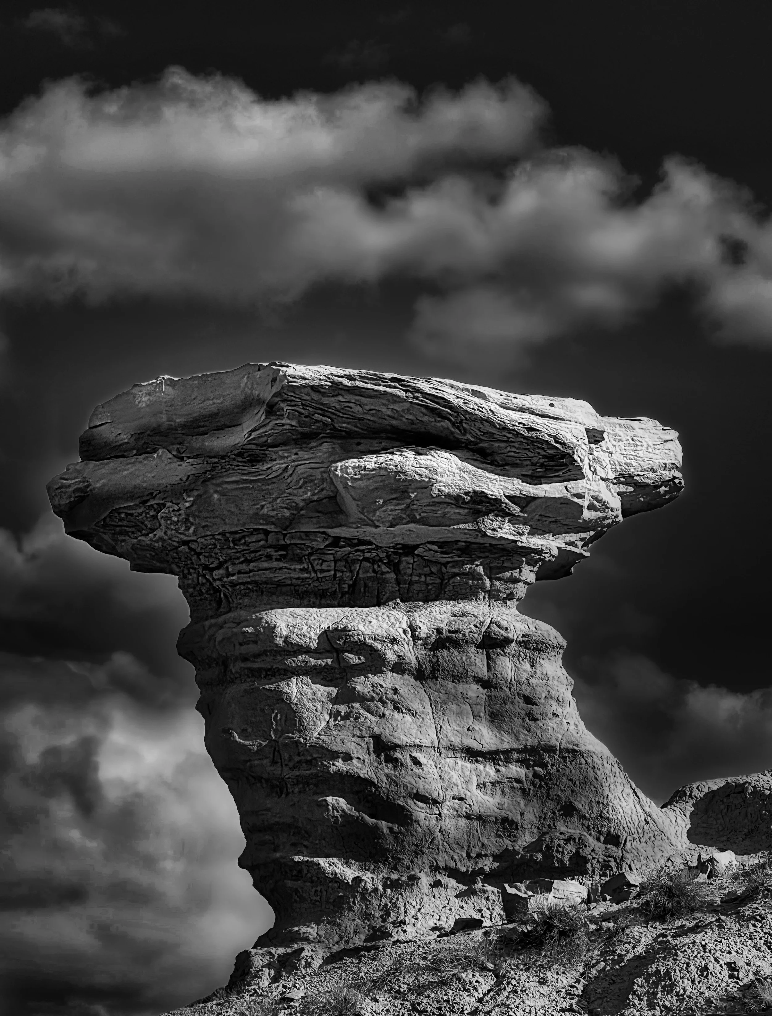   " Sculptured by Time " Rising from the New Mexico Landscape, Camel Head Rock stands as a testament to  time. 