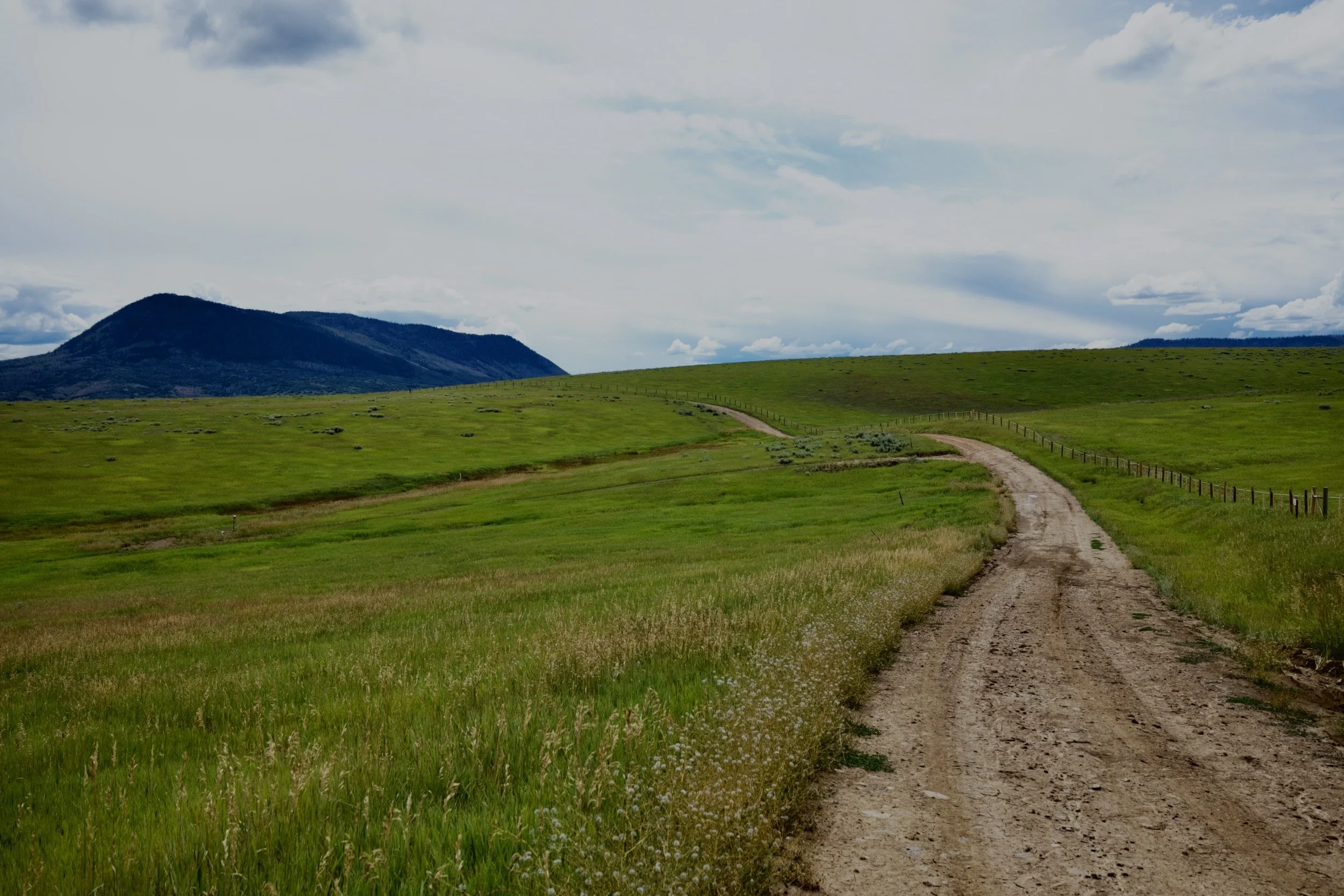 " Where Silence Lives " Winding Colorado backroad through open grasslands, Fine Art Photography.